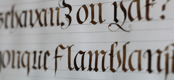 images illu la fabrique ECV Bordeaux