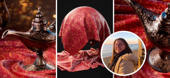 visuel article sarah larrieu illumination ecv bdx